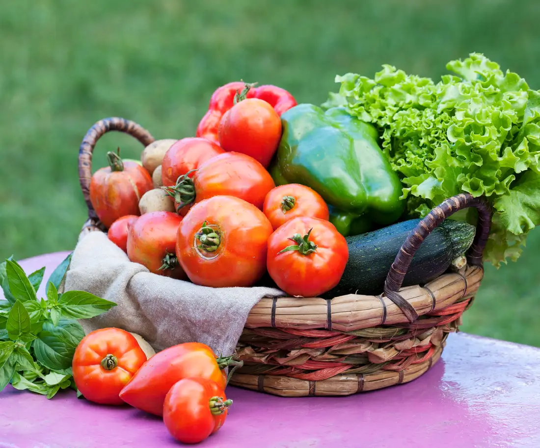 Panier de légumes biologiques de saison
